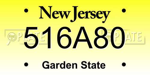 516A80 New Jersey License Plate