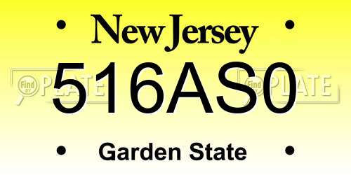516AS0 New Jersey License Plate
