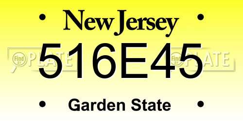 516E45 New Jersey License Plate