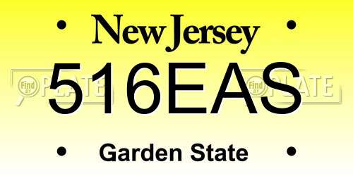 516EAS New Jersey License Plate