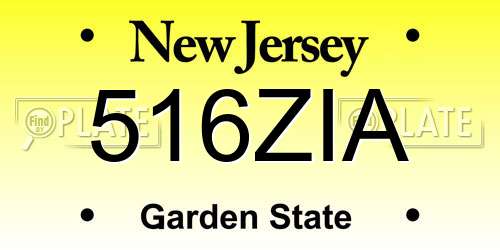 516ZIA New Jersey License Plate