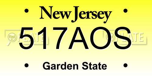 517AOS New Jersey License Plate