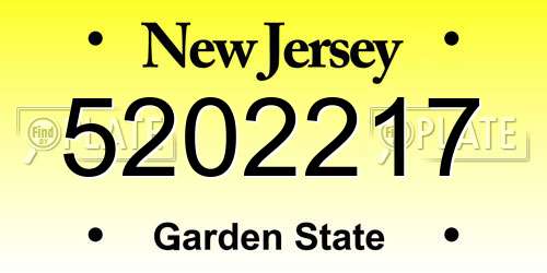 5202217 New Jersey License Plate