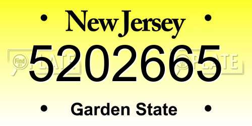 5202665 New Jersey License Plate
