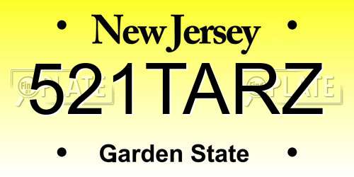 521TARZ New Jersey License Plate