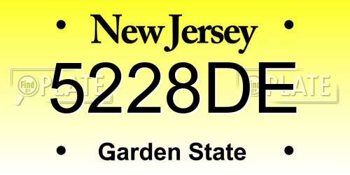 5228DE New Jersey License Plate