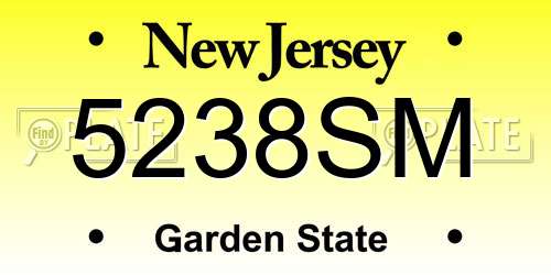 5238SM New Jersey License Plate