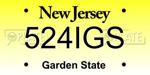 524IGS New Jersey License Plate