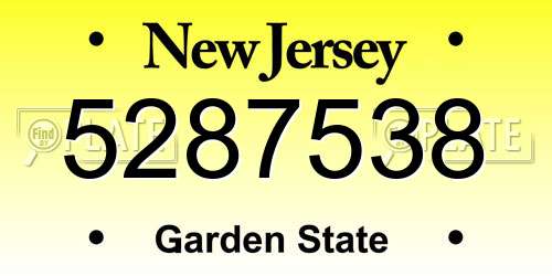 5287538 New Jersey License Plate