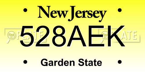 528AEK New Jersey License Plate