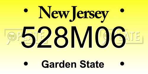 528M06 New Jersey License Plate