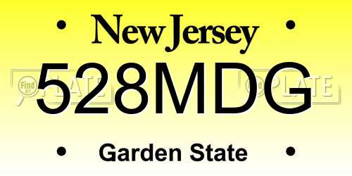 528MDG New Jersey License Plate