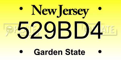 529BD4 New Jersey License Plate