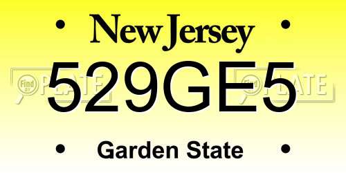 529GE5 New Jersey License Plate