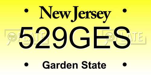 529GES New Jersey License Plate