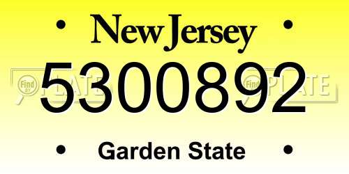 5300892 New Jersey License Plate