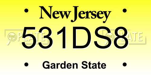 531DS8 New Jersey License Plate