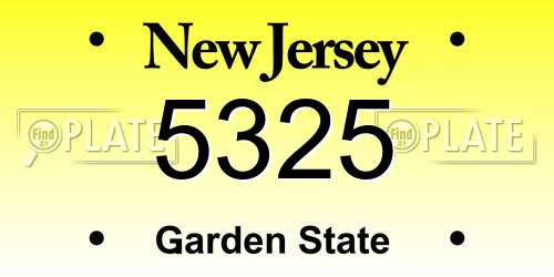 5325 New Jersey License Plate