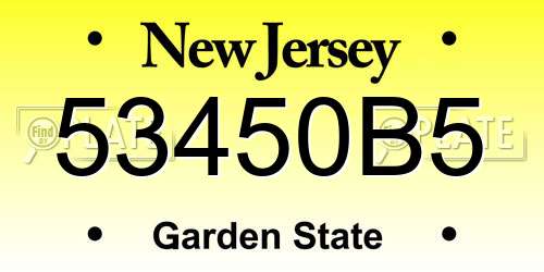 53450B5 New Jersey License Plate