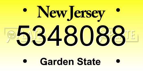 5348088 New Jersey License Plate