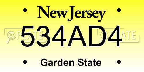 534AD4 New Jersey License Plate