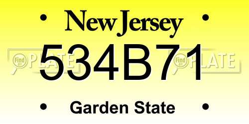 534B71 New Jersey License Plate