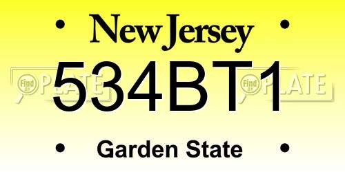 534BT1 New Jersey License Plate