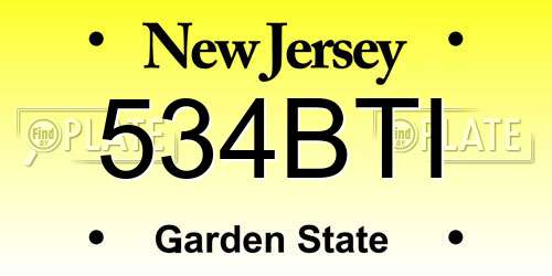534BTI New Jersey License Plate
