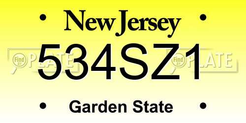 534SZ1 New Jersey License Plate