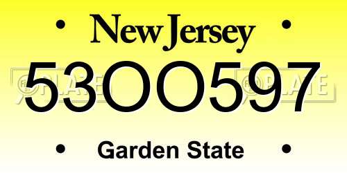 53OO597 New Jersey License Plate