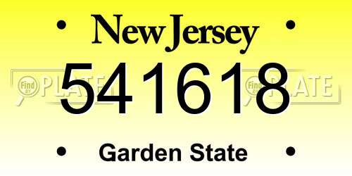 541618 New Jersey License Plate