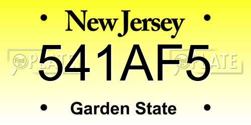 541AF5 New Jersey License Plate