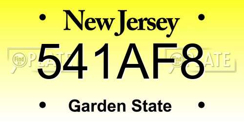 541AF8 New Jersey License Plate