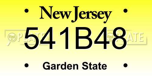541B48 New Jersey License Plate
