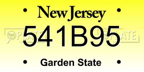 541B95 New Jersey License Plate