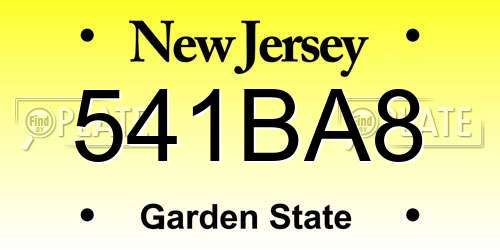 541BA8 New Jersey License Plate