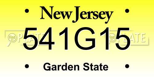 541G15 New Jersey License Plate