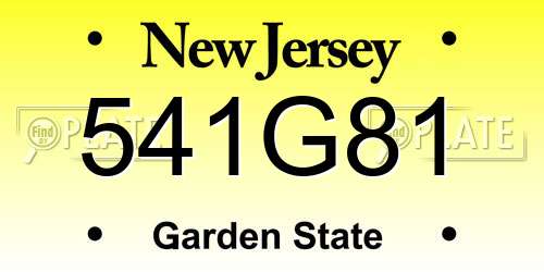 541G81 New Jersey License Plate