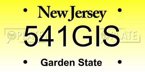 541GIS New Jersey License Plate
