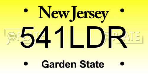 541LDR New Jersey License Plate