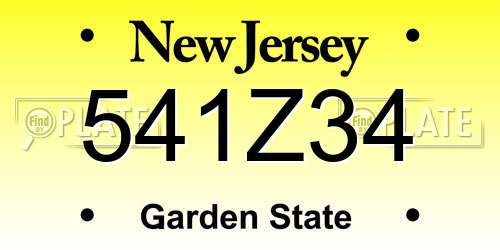 541Z34 New Jersey License Plate