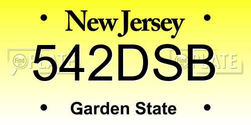 542DSB New Jersey License Plate