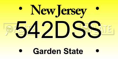 542DSS New Jersey License Plate