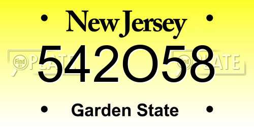 542O58 New Jersey License Plate