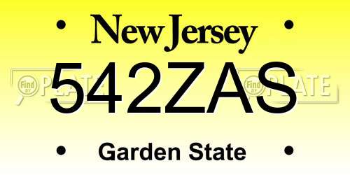 542ZAS New Jersey License Plate