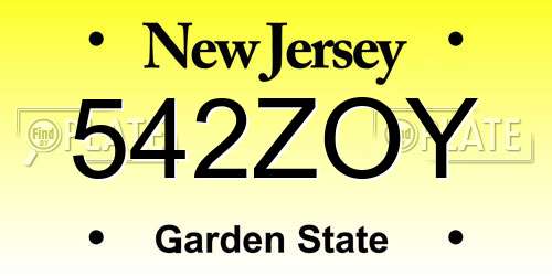 542ZOY New Jersey License Plate