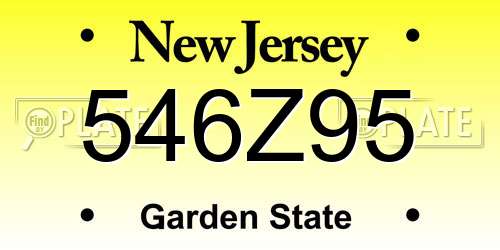 546Z95 New Jersey License Plate