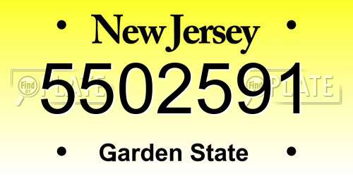 5502591 New Jersey License Plate
