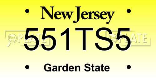 551TS5 New Jersey License Plate