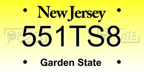 551TS8 New Jersey License Plate
